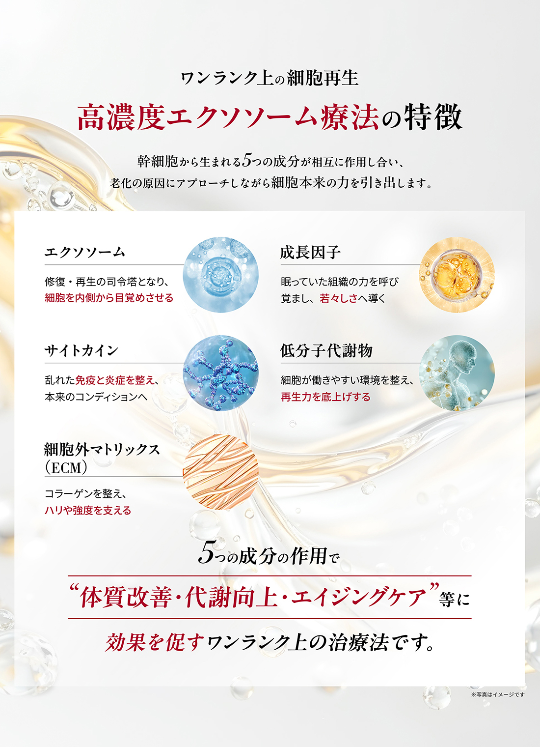高濃度エクソソーム療法の特徴